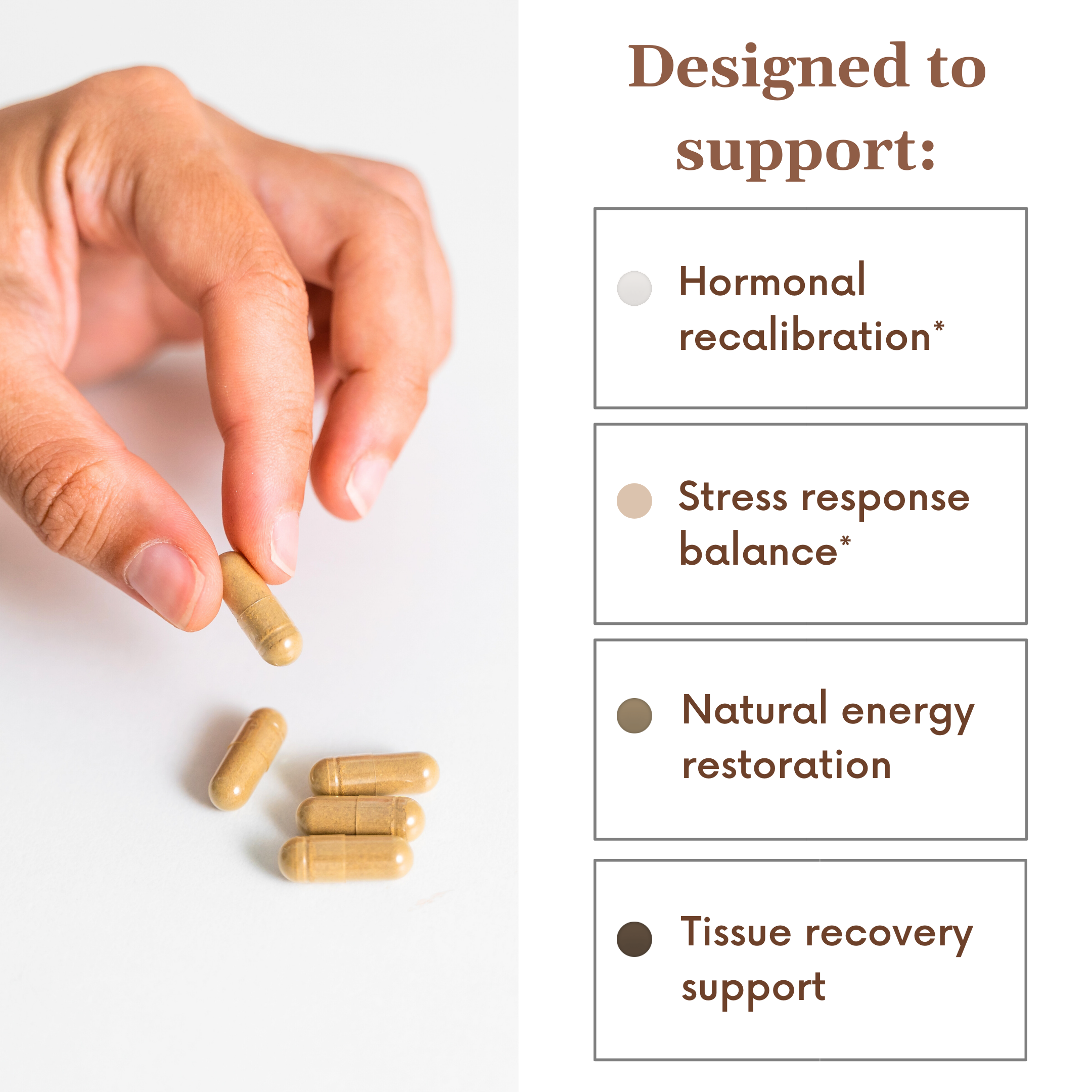 Postnatal Recovery