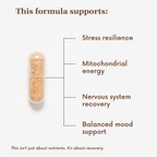 Postnatal Recovery