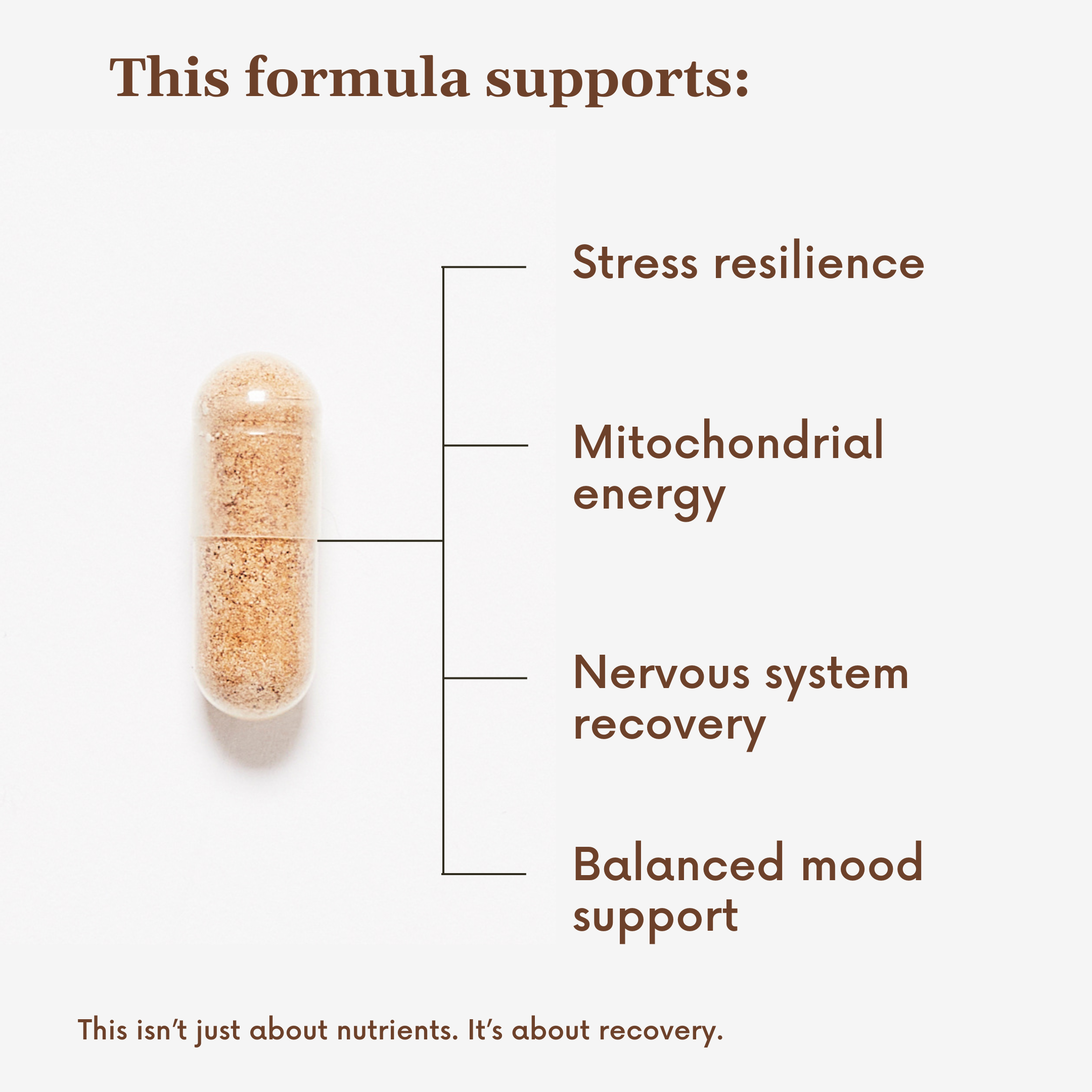 Postnatal Recovery